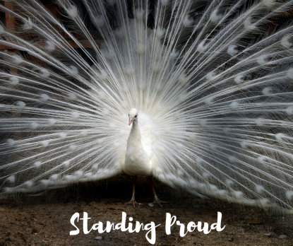 Standing Proud (1)