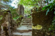 What s In A Setting Author Natalina Reis What s In A Setting Author Natalina Reis